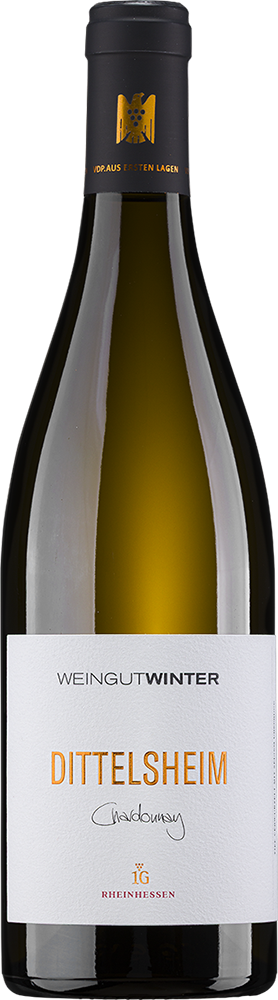 2023 DITTELSHEIM Chardonnay 1G | VDP.Aus Ersten Lagen