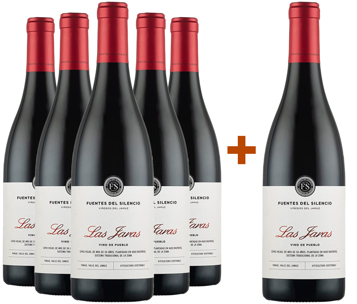 Pack Descuento 5+1 Fuentes del Silencio Las Jaras Castilla y León VT