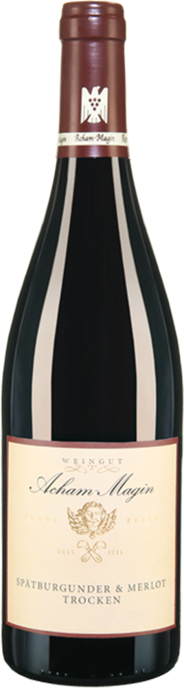 2023 Spätburgunder & Merlot VDP.Gutswein BIO