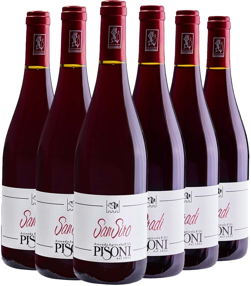 Pisoni Trentino Kennenlern-Paket BIO