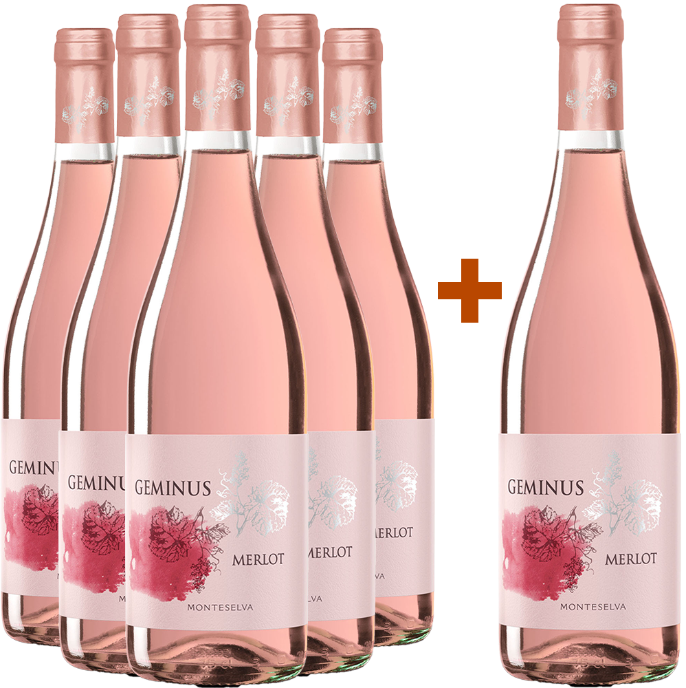 5+1 Paket Geminus Merlot 