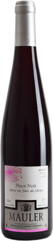 2023 Pinot Noir Fût de Chêne Alsace AOP