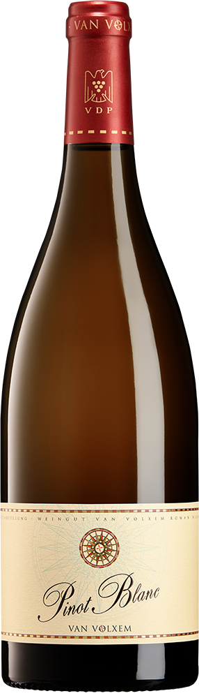 2021 Pinot Blanc