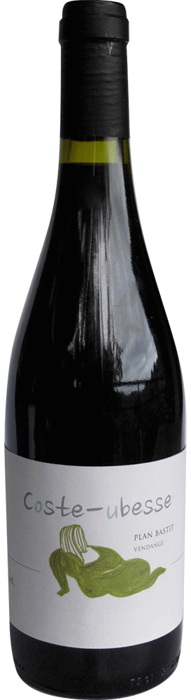 2017 Cuvée Plan Bastit Saint Guilhem le Désert IGP BIO