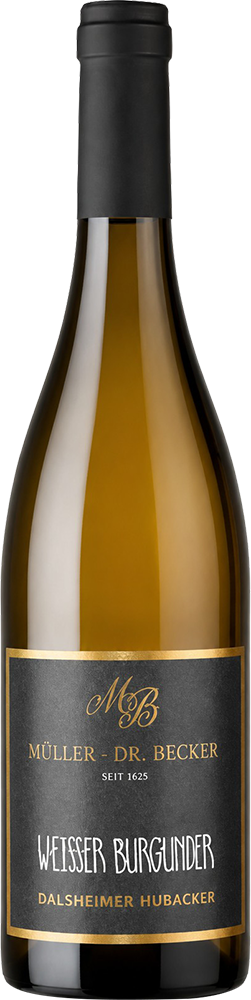 2023 Alte Reben-Dalsheimer Steig Weisser Burgunder MDCXXV