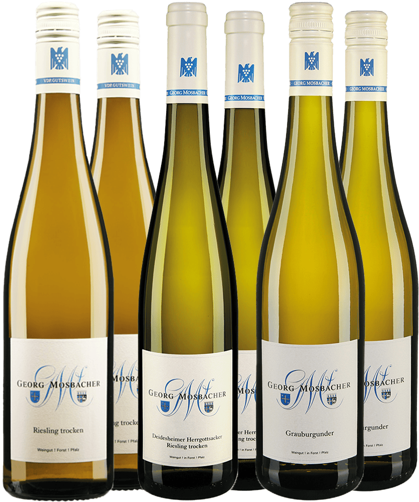Georg Mosbacher Kennenlernpaket