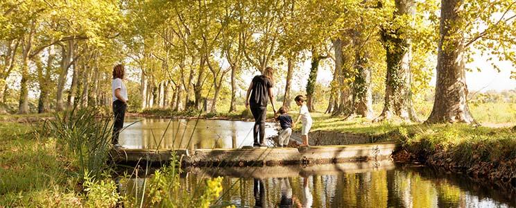 Château Nadal Hainaut: Grenache noir