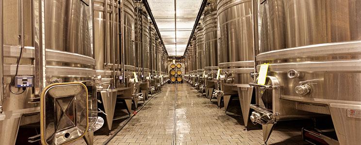 Château Nadal Hainaut: Grenache noir