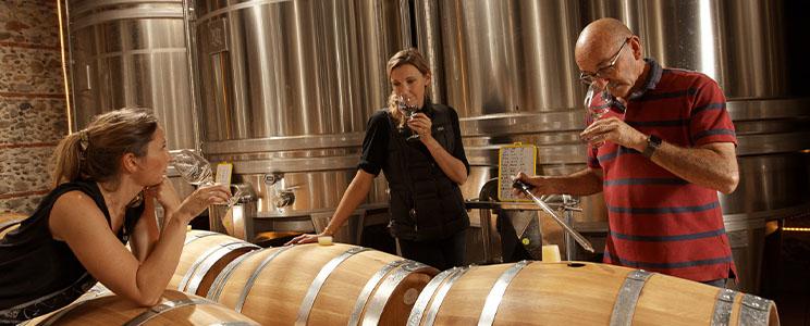 Château Nadal Hainaut: Grenache noir