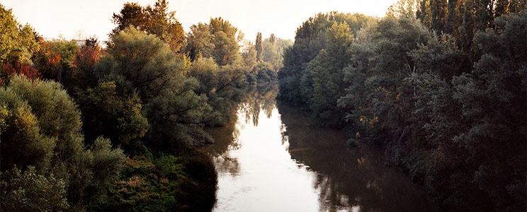 Viñedos de Matallana 