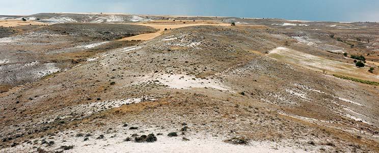 Viñedos de Matallana 