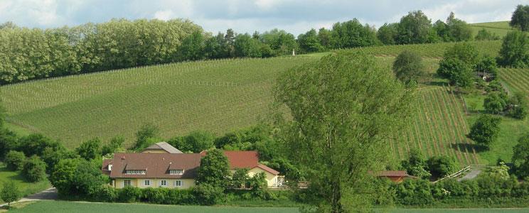  Weingut Reichsgraf und Marquis zu Hoensbroech 