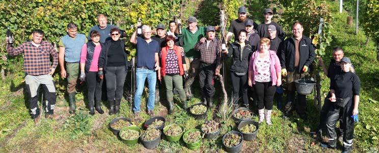 Vereinigte Hospitien 