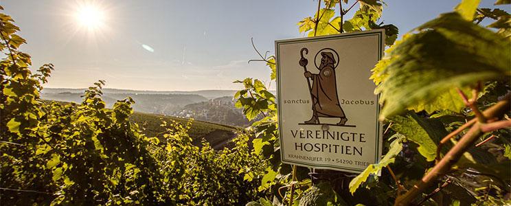 Vereinigte Hospitien 