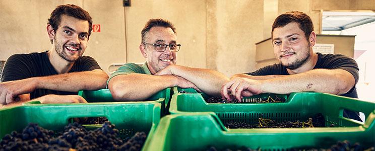 Weingut Abril  (Seite:2)