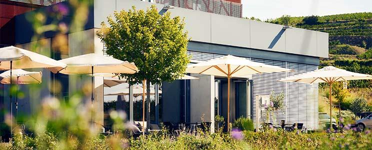 Weingut Abril  (Seite:2)