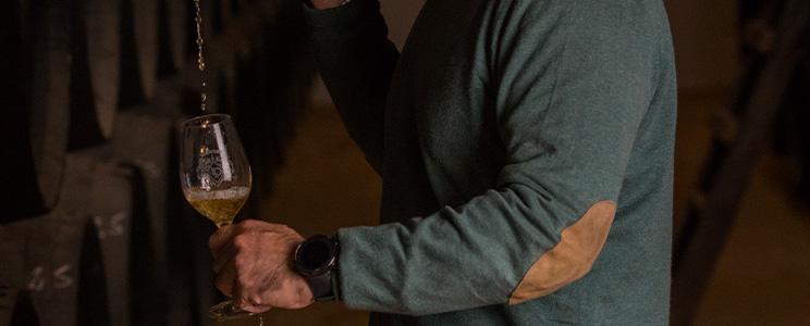 Bodegas León Domecq 