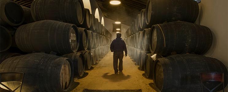 Bodegas León Domecq 