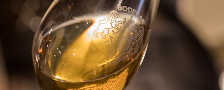 Bodegas León Domecq 