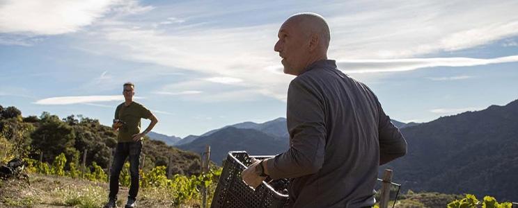 Les Vinyes Forer Massard 