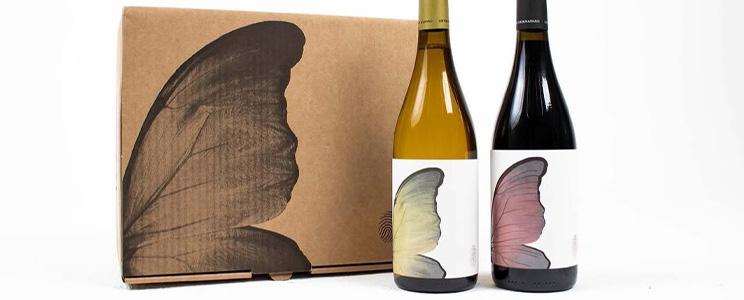 Les Vinyes Forer Massard 