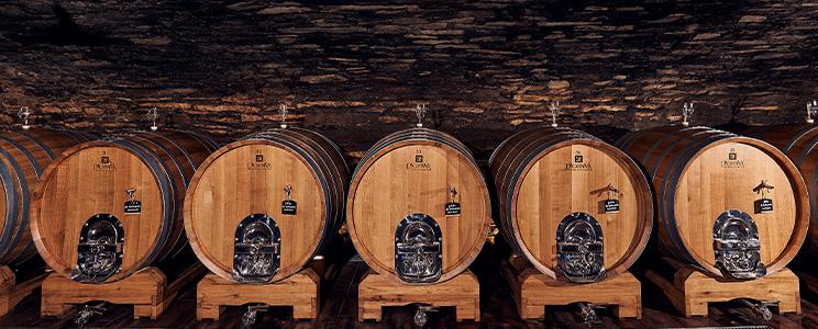 Weinmanufaktur Dagernova 