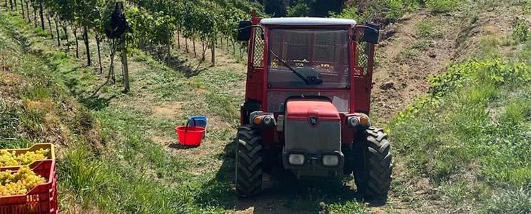 Azienda Agricola Sant’Egidio 