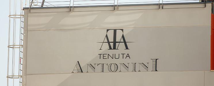 Tenuta Antonini Alessio 