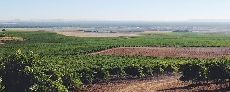 Bodegas Eresma - La Soterraña 