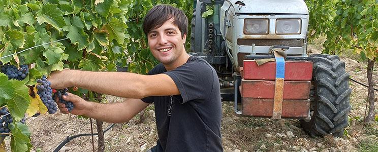 Domaine du Chat Blanc 