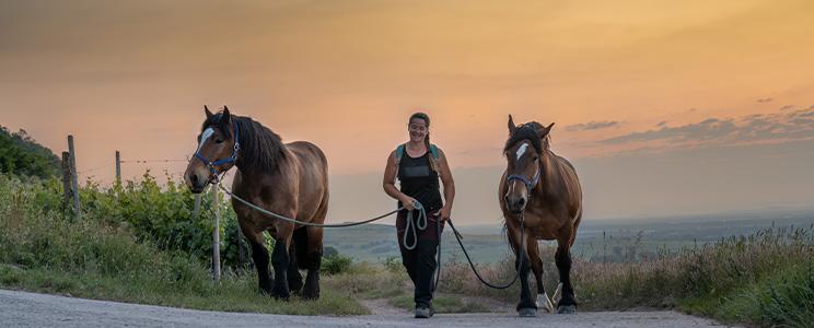 Domaines Schlumberger 