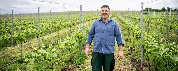 Winzergenossenschaft Wolfenweiler 