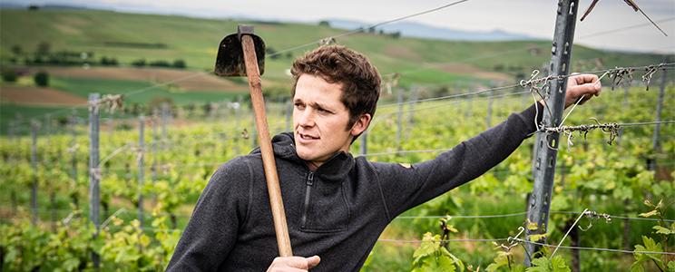 Winzergenossenschaft Wolfenweiler 