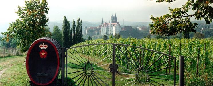 Weingut Schloss Proschwitz: Rotwein