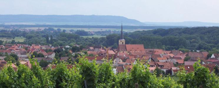 Weingut Schlereth 
