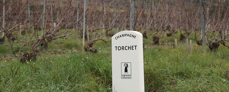 Champagne Laëtitia Torchet 