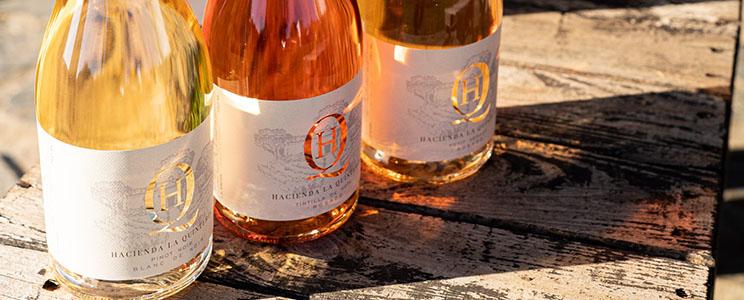 Hacienda La Quintería 