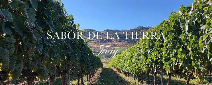 Bodegas Triay 