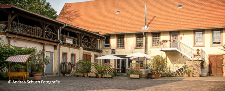  Weingut Holzmühle: Deutscher Landwein