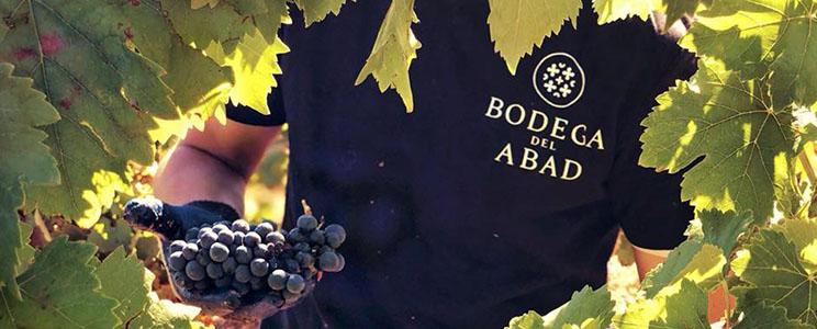 Bodega del Abad 