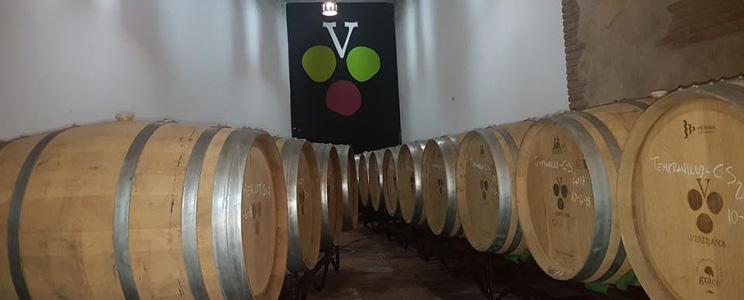 Bodegas Vertijana 