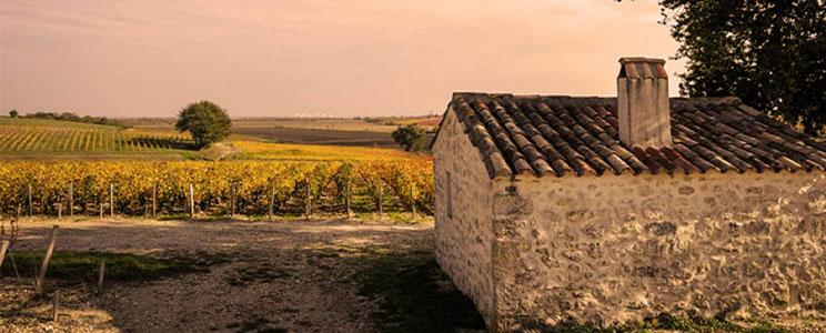 Château Sociando-Mallet 