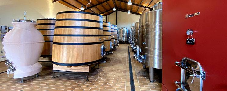 Fuentes del Silencio 