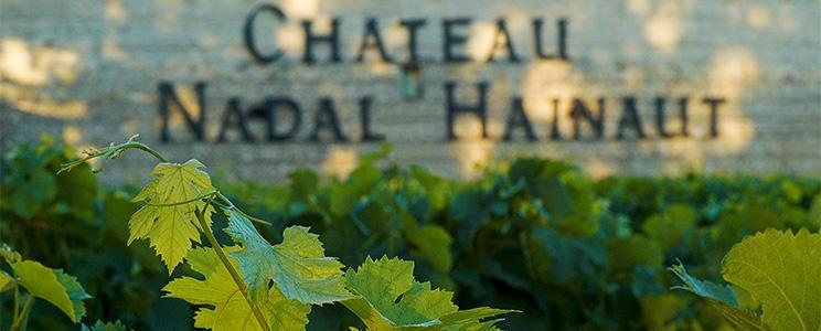 Château Nadal Hainaut: Grenache noir