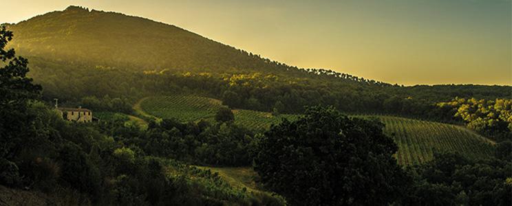 Château Sociando-Mallet 