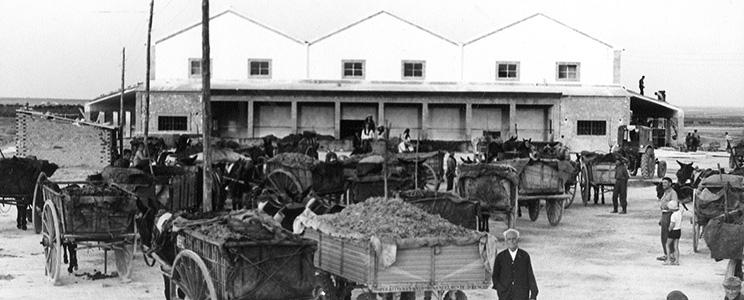 Bodegas Puente de Rus 