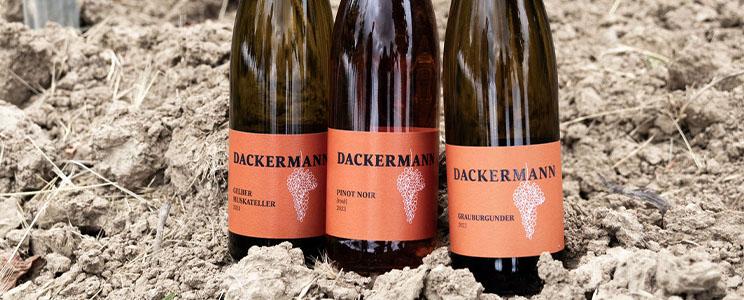 Weingut Dackermann 