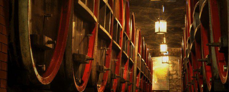 Winzerkeller Hex vom Dasenstein: Qualitätswein