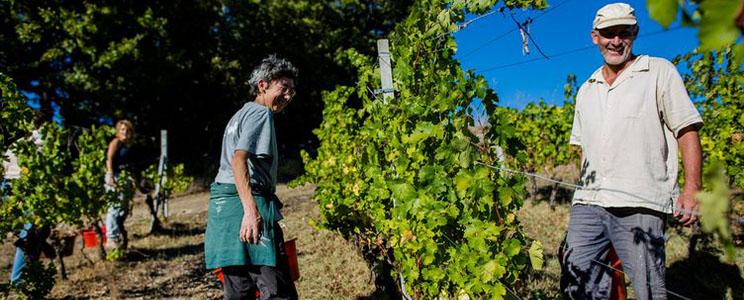 Castello Dei Rampolla 