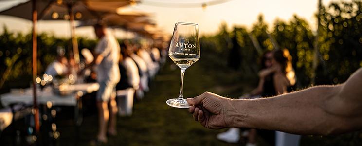 Weingut Anton 
